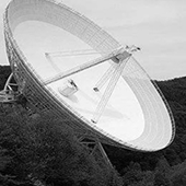 浙江金蛹科技有限公司